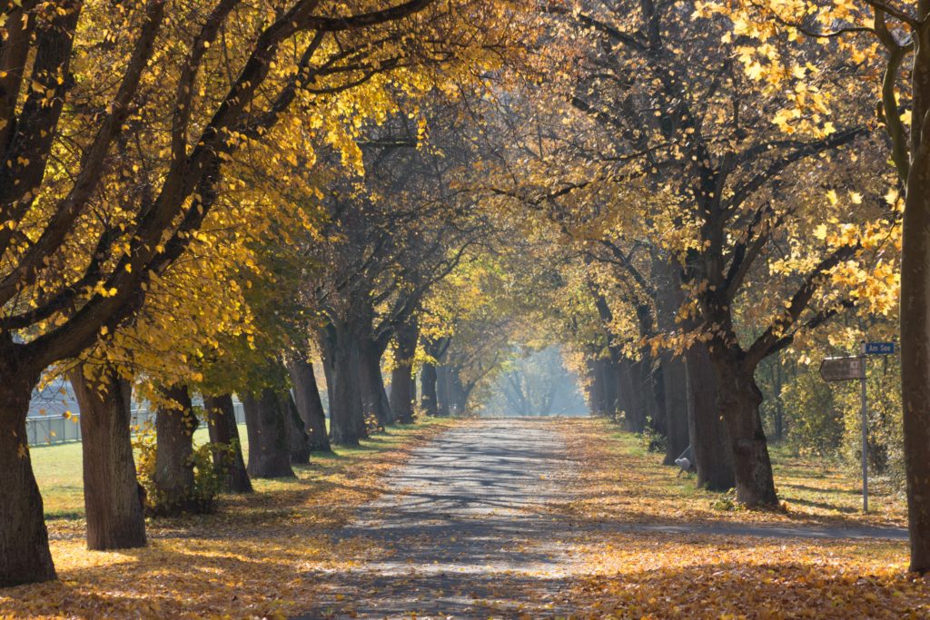 Four Seasons