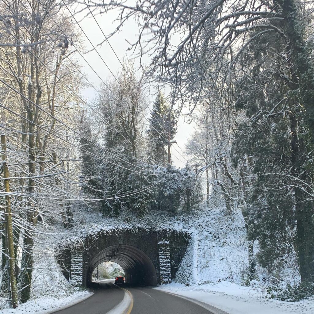 Winter Solstice