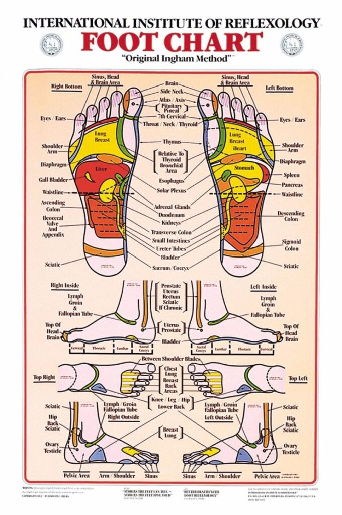 International institute of reflexology foot chart
