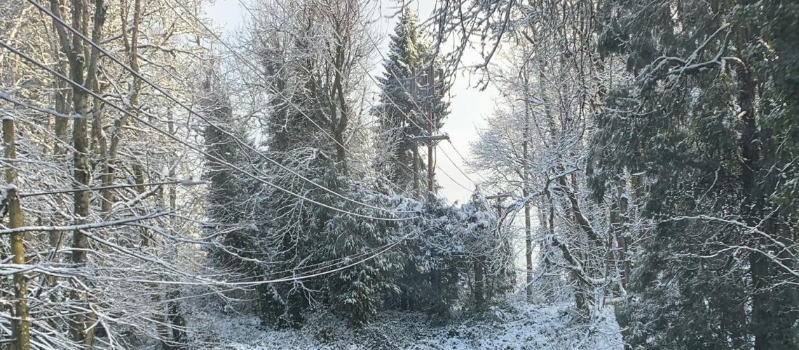 Winter Solstice